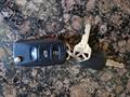 VW key, THULE and house key