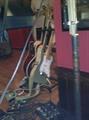 STOLEN FENDER STRAT   $1 (newnan)