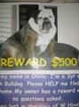 $500 REWARD (Elkhart)