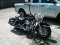 Reward Stolen Harley . Have you seen me ? (corpus christi) 