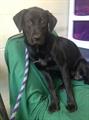 TIME IS RUNNING OUT     $100 REWARD (grove city)