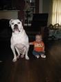 Please bring Casey home!!! Reward!!! (Butler Tarkington)