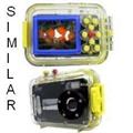 Underwater Camera Lost (Avalon, CA)