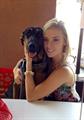 $1,000 REWARD (imperial beach)