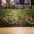 STOLEN   2 TREK Mountain Bikes Reward $ If Found