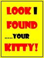 Found Cat
