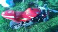 STOLEN!!!! Mini Bike (newton)