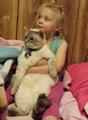 *STILL MISSING, Male Siamese Cat : ( (palmer fishook)