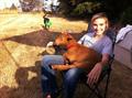 Lost Pet Goats (Rogers)