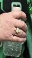 Diamond wedding band with diamond jacket.  Welded together