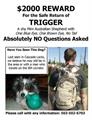 $2000 REWARD for Trigger (Columbia Gorge)